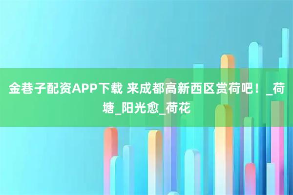 金巷子配资APP下载 来成都高新西区赏荷吧！_荷塘_阳光愈_荷花