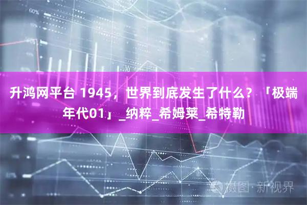 升鸿网平台 1945，世界到底发生了什么？「极端年代01」_纳粹_希姆莱_希特勒