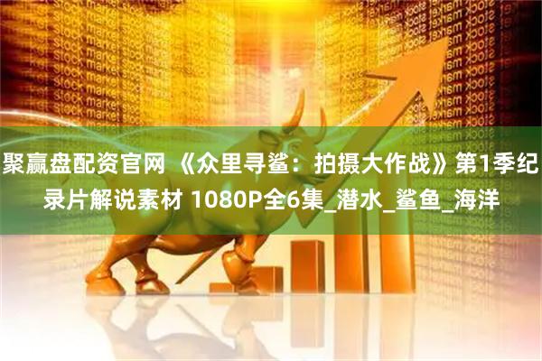聚赢盘配资官网 《众里寻鲨：拍摄大作战》第1季纪录片解说素材 1080P全6集_潜水_鲨鱼_海洋
