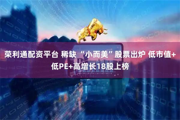 荣利通配资平台 稀缺 “小而美”股票出炉 低市值+低PE+高增长18股上榜